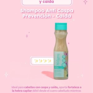 Shampoo Anticaspa